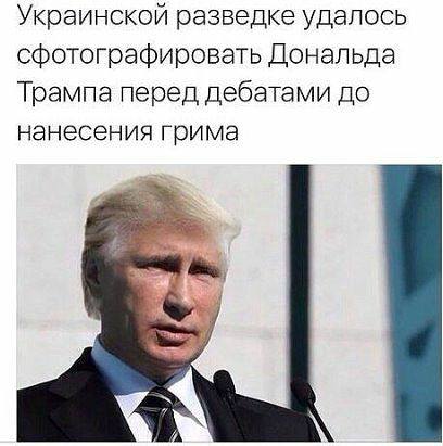 14867851.jpg