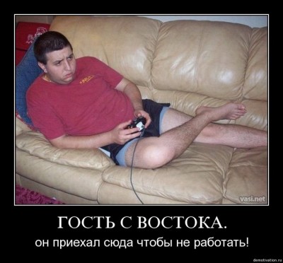 kbjbo78gpxnn11.jpg