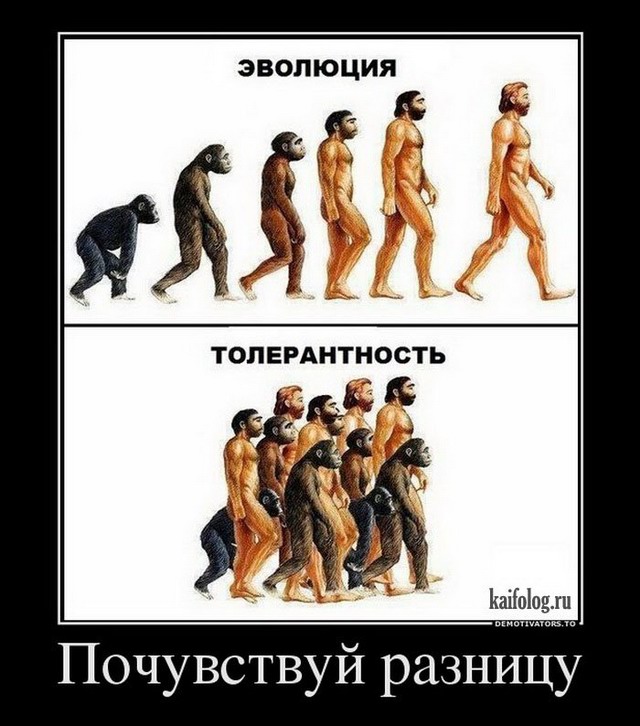 толерантность.jpg