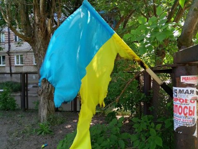 9-SaSYHAlyw.jpg