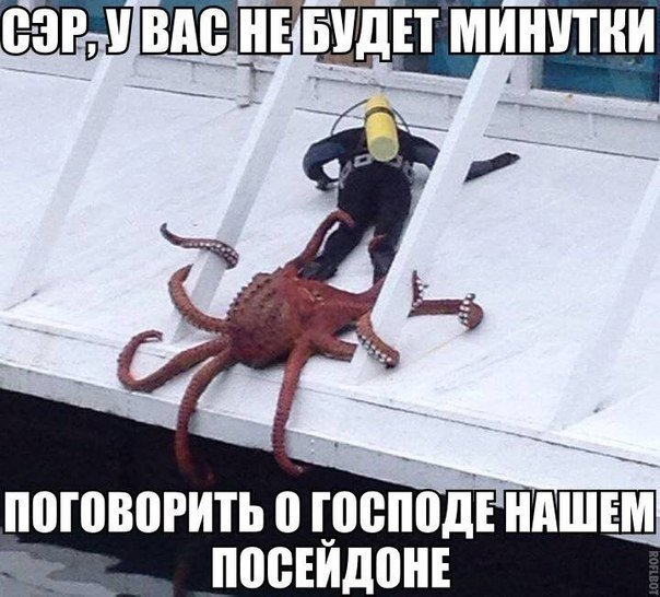 OnrVfIDXHAM.jpg