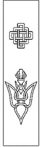 54994221_image008.gif