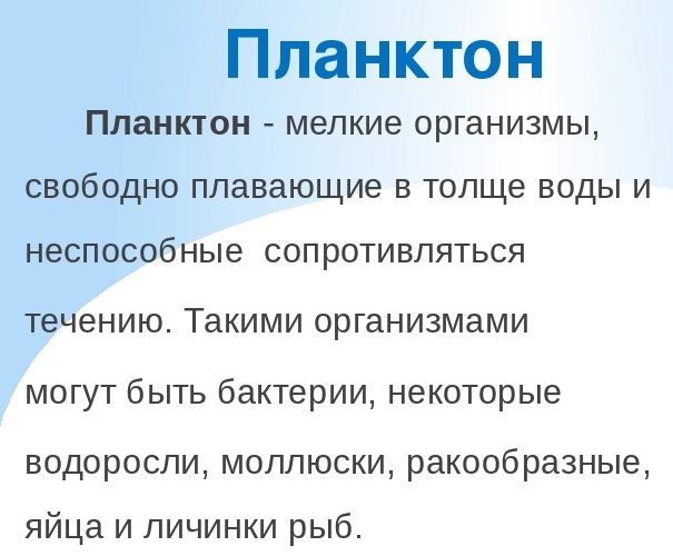 img2 (2).jpg