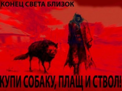 1107163.jpg