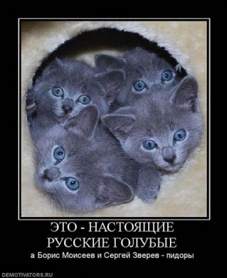 x_26b202e9.jpg
