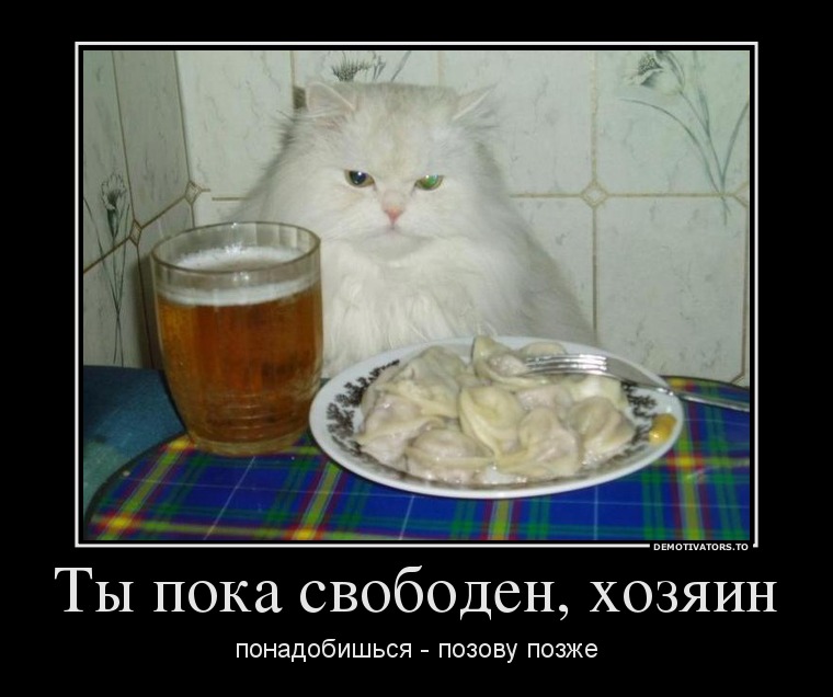 91145764_tyi-poka-svoboden-hozyain.jpg