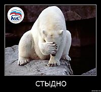 xmrd2b2jjyon.jpg