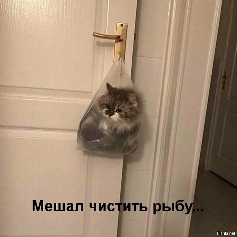 image (1).jpg