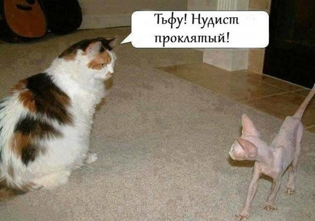 image (2).jpg
